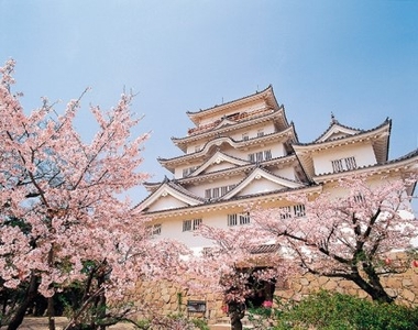 bNzqQCmuVRdXHrfqWp4V.jpg?w=940&h=940