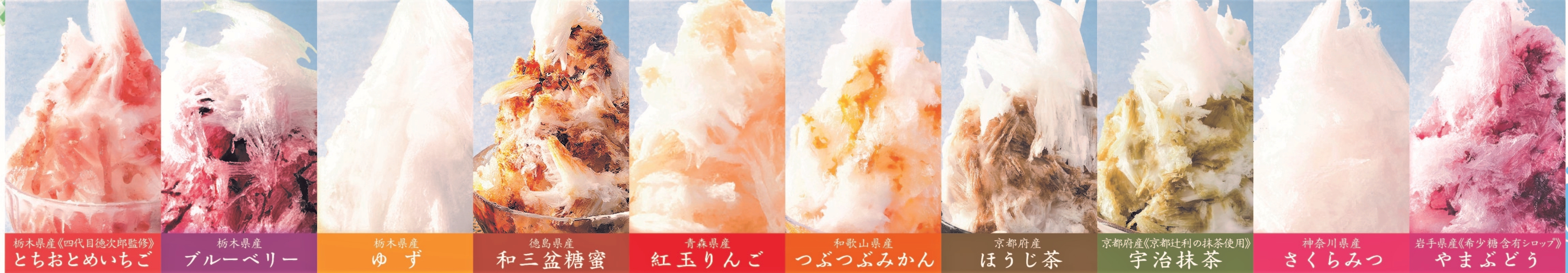 レギュラーメニュー