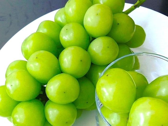 【予約受注】除草剤・化学肥料不使用の畑の シャインマスカット2房+他品種1房(計3房):3,980 円(税込)