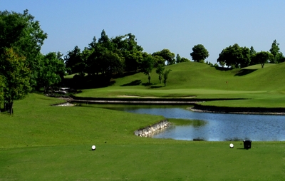 bRvFegVxn39U7RCejAMO.jpg?w=940&h=940