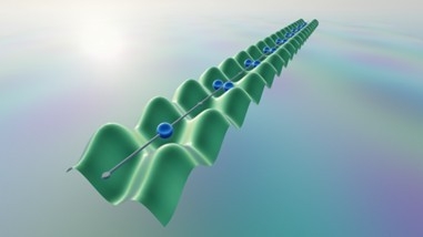 非自明な保存量がもたらす緩和の遅れ　―孤立量子多体系における熱平衡化の理解の深化に期待―