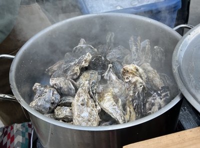 bTBtumlXVyrwhrWYoizJ.jpg?w=940&h=940