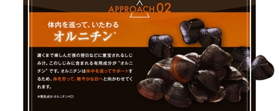 bTfV4MyK9FqUp91Sdh7f.jpg?w=940&h=940