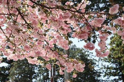 bVRlXBrqWjUvuRKQPZeY.jpg?w=940&h=940