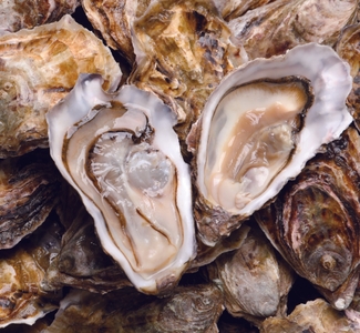 bW8Ol2fXO2eNe3pqkxHj.jpg?w=940&h=940