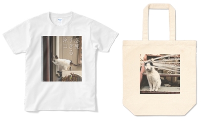 bWmVhnzZSnRv45BhSmbp.jpg?w=940&h=940