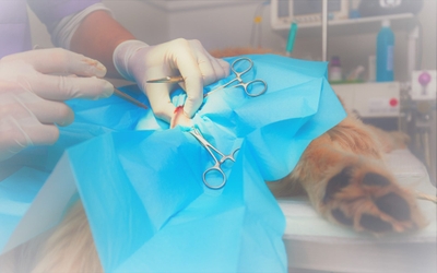 bXnqLR0Z5xypKtkaBWrF.jpeg?w=940&h=940