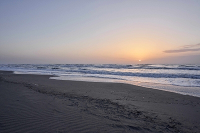 bYX5a0RIlvDc9VhE5Lxx.jpg?w=940&h=940