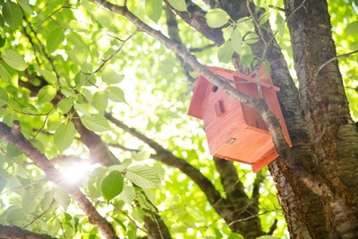 bYqAD6ROqln3kGsJ59vS.jpg?w=940&h=940