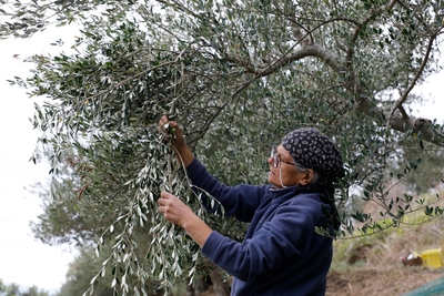 アントネッラさん