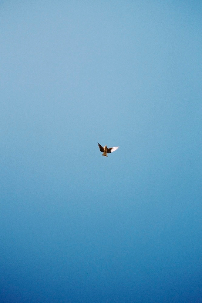 AOKI takamasa " photography ", C-print