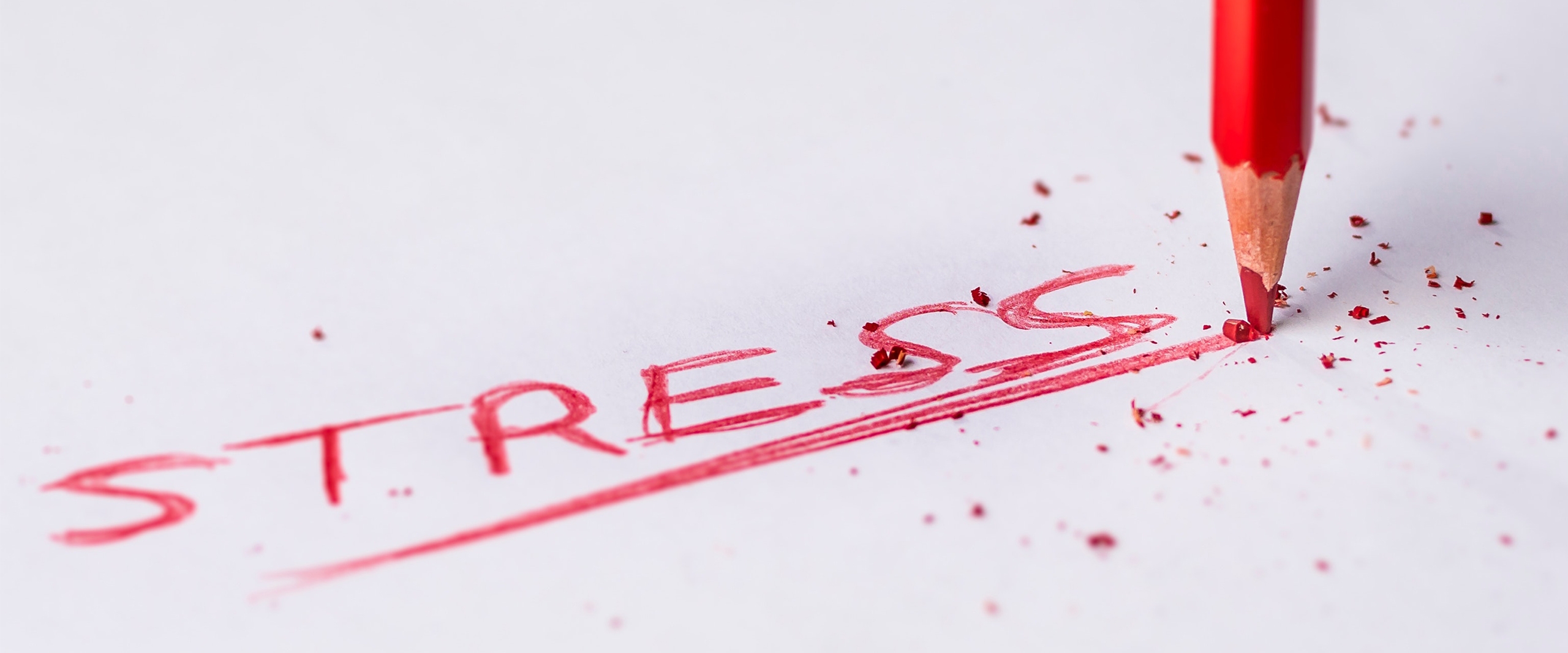 【簡単！1人でできるメンタルケア】コロナストレスや新生活への不安を減らす4つの方法