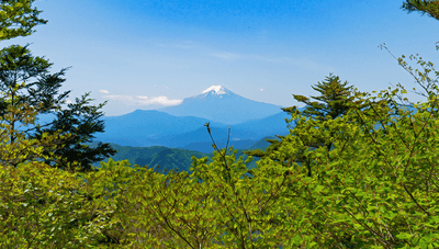 『三頭山』山頂から眺める冨士山