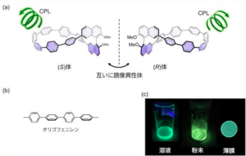 (図1)(a)開発した分子の構造、(左: (S)-体、右: (R)-体、らせん状の矢印は円偏光発光を表す) (b)オリゴフェニレンの構造と、それをねじった構造及び輪にした構造