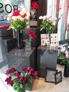 bepU1yU3T6M7onsEjaZ7.jpg?w=940&h=940