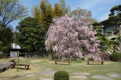 bg2gQF3fOviFcmMsRhEH.jpg?w=940&h=940