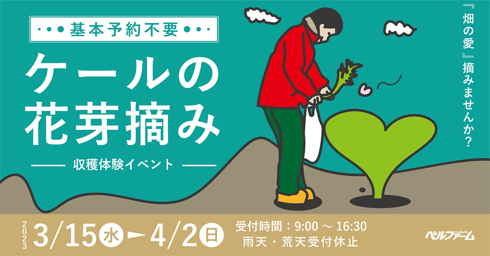 【ベルファームつくば】おそらく日本でここだけ！！超希少な春の味覚「ケールの花芽」をオーガニックファームで収穫できる体験イベントを開催！｜期間：2023年3月15日（水）～4月2日（日）