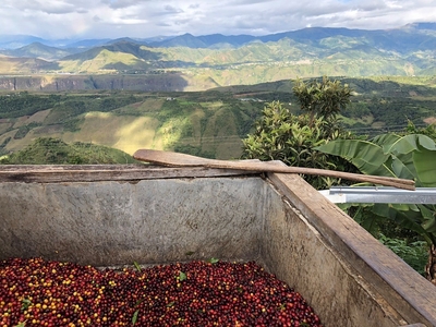 bhpfvA5gaB6sluK5tmjd.jpg?w=940&h=940