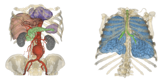 「医療画像を用いて身体の内部を立体画像で診る」などが体験できる