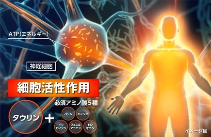 タウリン+必須アミノ酸5種 細胞活性作用イメージ