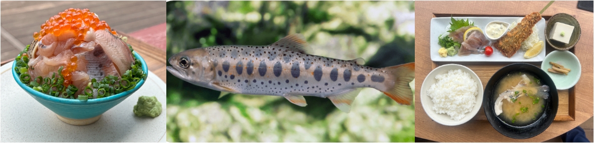 あまごの郷フェア