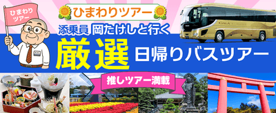 bjsAmIJrQfLq2v9YCLU5.png?w=940&h=940