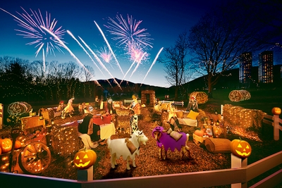 bnc9shxqlASNHE4Vaq06.jpg?w=940&h=940