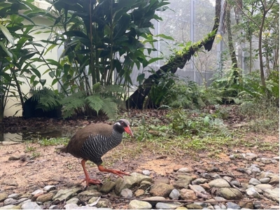 bo8wWKfM8hRNtQbCqFxs.jpg?w=940&h=940