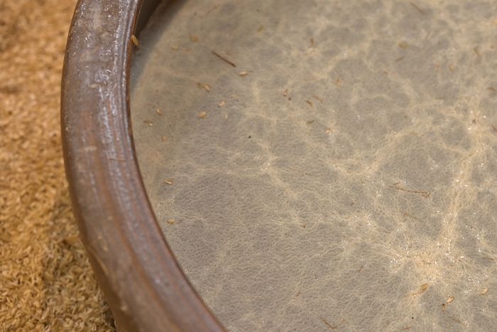 伝統製法、壺仕込み米酢