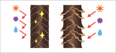 bqRrMFgGeM6O9i78YDJp.png?w=940&h=940