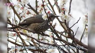 bqXAXjz8Yu5qPvwnPs7c.jpg?w=940&h=940