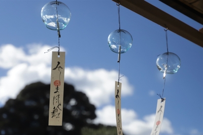 bqnCQs5LnWPcilTZcy8h.jpg?w=940&h=940