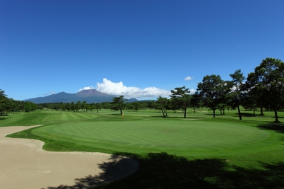 br5HjabWeFQH8rTAE3yG.jpg?w=940&h=940