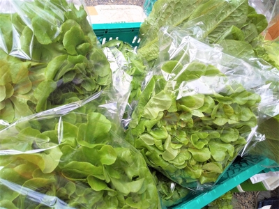 brqkmqtNOkOL1U9CipYX.jpg?w=940&h=940