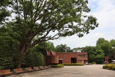 bszQn5CQt33mGutStZ4B.jpg?w=940&h=940