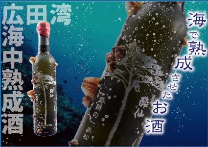 岩手県陸前高田市の海中熟成日本酒「奇跡の一本松」販売開始 　ふるさと納税の返礼品としても受付中