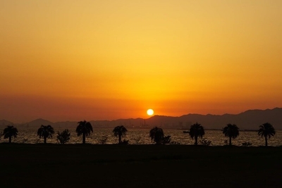 bt3TxbDLxNeTCvxAavDq.jpg?w=940&h=940