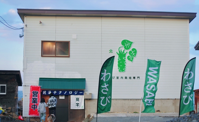 わさび工場ツアー1