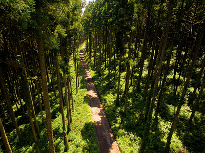 btMsOtn9JoAa6uAH0C3O.png?w=940&h=940