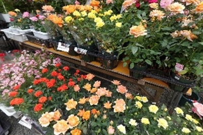 btTcqfT2OvprhOmQBtCY.jpg?w=940&h=940