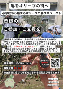 buC2yKC6xY3NjbDi6Jc0.png?w=940&h=940