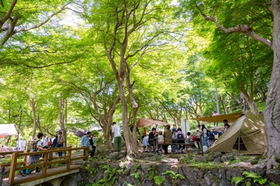 buGoZumrPkJ0oa4tsmPI.jpeg?w=940&h=940