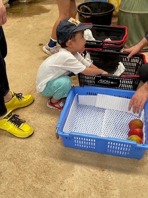 収穫体験ツアー！