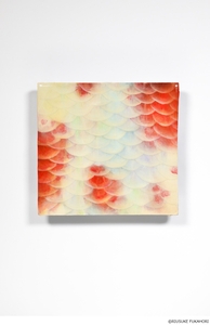 《鱗象 -MACHIKO-》 2019年