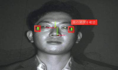 「Smart Eye AIS」検出画像