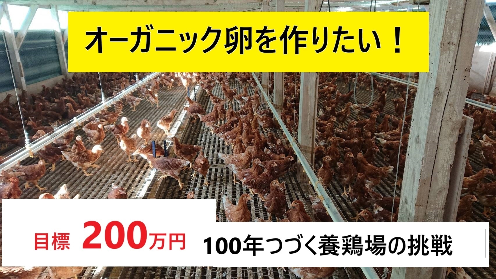 クラウドファンディング画像