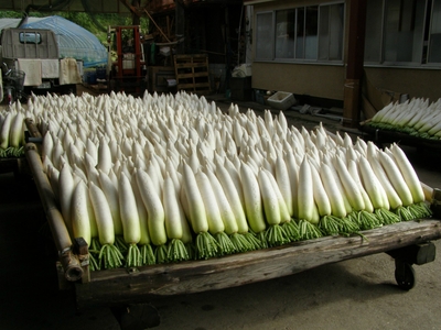 bvXNU2mBnVgIoZ1XLUSR.jpg?w=940&h=940