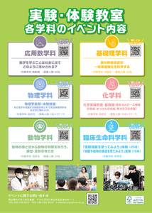 bvw2s7789IzMgwT2mHam.png?w=940&h=940