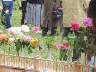 bw7iYTgFmXcKqjq0FVXI.jpg?w=940&h=940