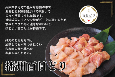 bwHi5WtIoZAeLyDlHKx1.png?w=940&h=940